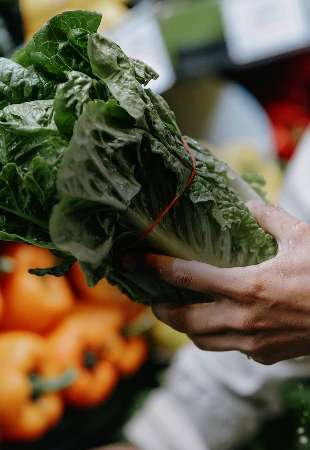 Services General Produce